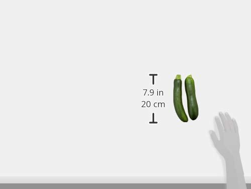 Zucchini Squash, 1 Each