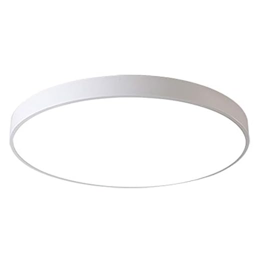 Ganeed LED Ceiling Lights,39W 19.6Inch Modern Ceiling Lamp,Flush Mount Lighting Fixture Round,6500K Cool White Ceiling Lighting for Dining Hallway Living Kitchen Bedroom Room