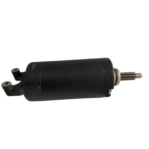Starter Motor Assembly F02J10000001 para Segway Fugleman miniatura 1