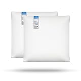 AM AEROMAX 18 ×18 Pillow Insert (Pack of 2) Memory Foam Throw Pillow Insert Sham Square for Decorati