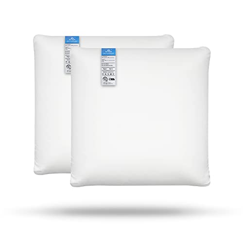 Am Aeromax 18 ×18 Pillow Insert (Pack Of 2) Memory Foam Throw Pillow Insert Sham Square For Decorative Cushion Bed Couch Sofa Without Deform After Longtime Use #TOP24