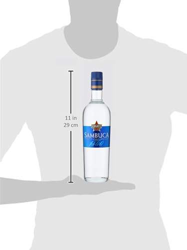 Borghetti Sambuca Oro – Exquisiter italienischer Likör mit unverwechselbarem Geschmack nach Sternanis und Kräutern mit 38% vol. (1 x 0,7l)