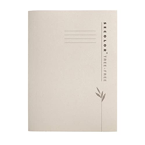 Jalema 3882511 - Confezione da 10 sottocartelline