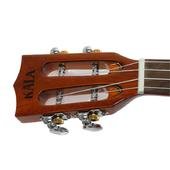 KALA Solid Cedar Top, Acacia Back, High Polish, Ukulele tenore (UC-C)