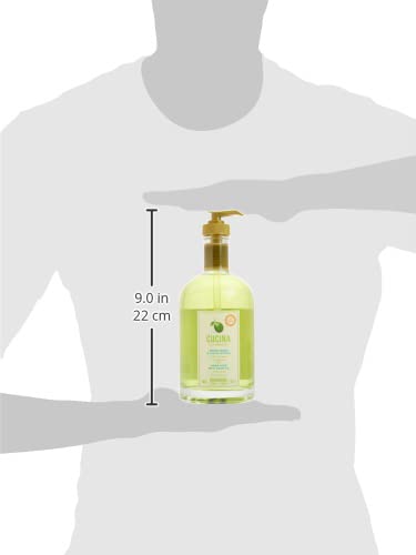 Fruits & Passion [Cucina] Lime Zest & Fennel Hand Soap, (16.9 Fl Oz) - Luxury Kitchen Liquid Hand Soap, Vegan, Natural Moisturizing Hand Wash In Glass Hand Soap Dispenser #TOP4