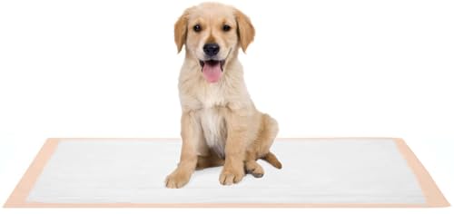 Image of Disposable Incontinence Bed Pad, Absorbent & Waterproof, 36x36 in, 10 Count | Chux