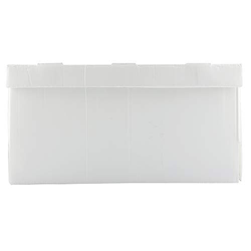 FAMKIT Papp-Nuc Box Bienenstock Bee Nuc Imkerei Imker Ausrüstung – Bild 3