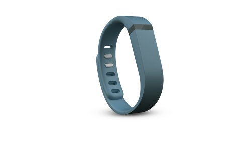 Fitbit Flex Accessory Band, Slate, Large
