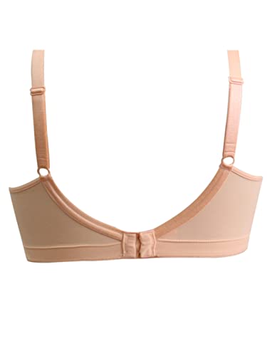 Image of Dazzle DB561 Women's Moulded Bra