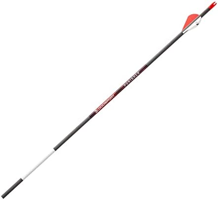 BLOODSPORT Punisher Precise Durable Carbon Fletched Hunting Arrow for Compound Bow – 31″ Length, 244″ Standard-Diameter, 004″ Straightness, 6 Pack, 350 Spine,Black BLOODSPORT Punisher Precise Durable Carbon Fletched Hunting Arrow for Compound Bow – 31″ Length, 244″ Standard-Diameter, 004″ Straightness, 6 Pack, 350 Spine,Black