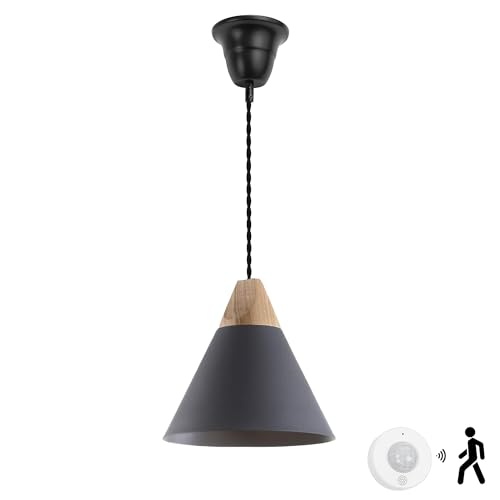 Kiven ^ lZT[ ZT[XCb` |V[OCg Jo[t Hsv L gC QΉ ݂艺Ɩ   VvfUC E26Ή dʔ a22cmVF[h O[