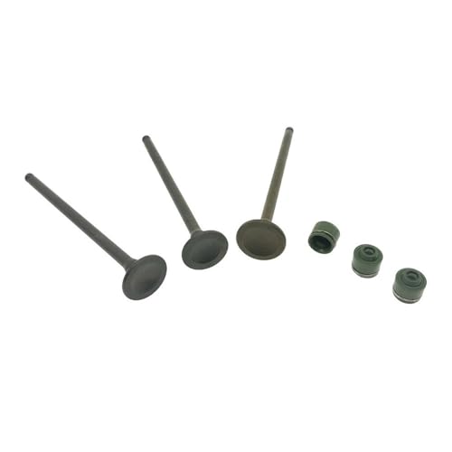 Joint d'huile de tige de soupape EVO2 pour entretien moteur VINO 50