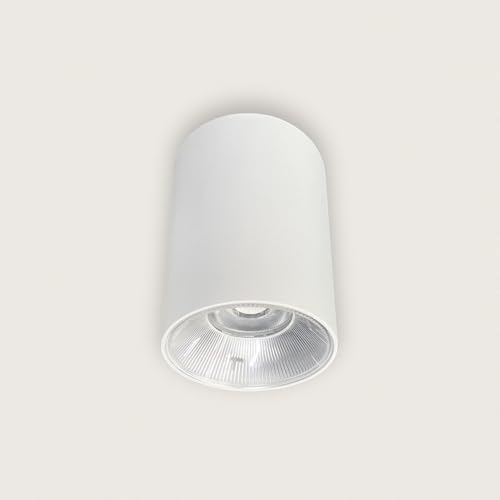 LEDKIA LIGHTING Aplique de Techo LED 10W Aluminio Temperatura de Color Seleccionable (Blanco Frío, Neutro, Cálido) Syrah 2700K - 4000K Blanco CCT