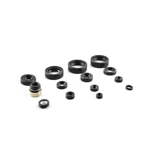 Kit joints d'huile CRM250AR stopper fuite eau et mélange huile moteur 249 cm³