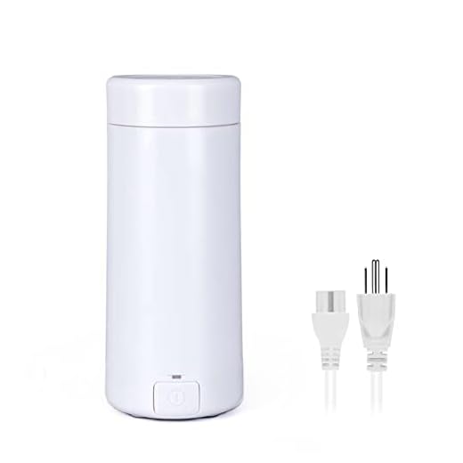 DREAMOSA Portable Electric Kettle, Travel Electric Kettle Fast Boil Automatic Shut-Off Small Capacity Electric Kettle