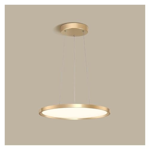 Lustre LED à suspension disque en acrylique et aluminium brossé
