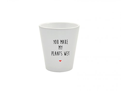 Funny Pun Plant Pot by Mrs Bee's Emporium™ | You Make My Plants Wet | Valentines Day Planter Gift