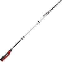 Einhell Electric Long Reach Hedge Trimmer 900W, Lightweight 4.5Kg, 2M Pole (2.6M Reach), Safe and Easy to Use Tiltable Cutting Head GC-HH 9046