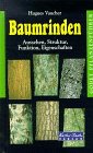 Baumrinden. Aussehen, Struktur, Funktion, Eigenschaften