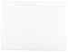 Ranger Glossy Cardstock,8-1/2-Inch-by-11-Inch, 10-Pack, White