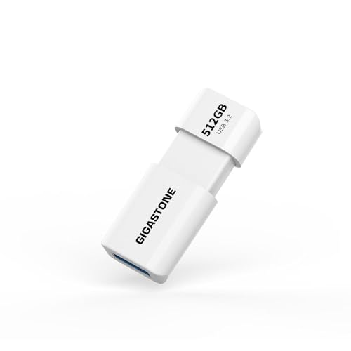 Clé USB Flash ultra rapide 100Mo/s GIGASTONE 512Go Z60 pour sauvegarde multimédia