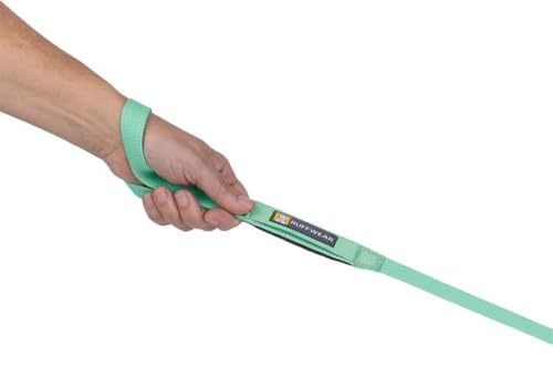 RUFFWEAR Hundeleine Hi & Light, Starke Leine, mit integrierter Aufbewahrungstasche und sicher abschließbarem Crux-Clip, kompakt zusammenklappbar auf Taschengröße, Sage Green
