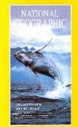 Preisvergleich Produktbild National Geographic Video - Giganten der Meere: Wale [VHS]
