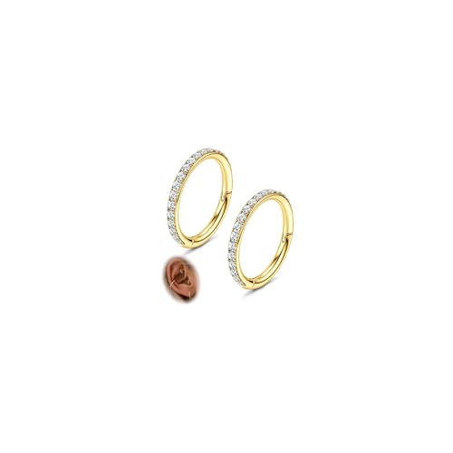 Morfetto Cartilage Helix Boucles d'oreilles Créoles Conch Piercing Bijoux 316L Acier Chirurgical Anneaux Segment Charnières Septum Anneau Nez Daith Rook...