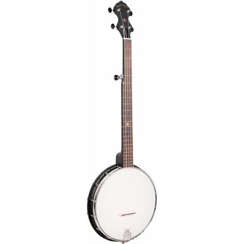 Gold Tone AC-1FL Fretless Acoustic Composite 5-String Openback Banjo with Gig Bag