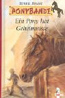  Ponybande, Ein Pony hat Geheimnisse