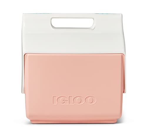 Glacière IGLOO Playmate Sashimi 7QT mini format rigide portable - 4