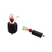 SIFRIMANIA Genuine Azabache Powerful Charm Protective Black Jet Stone Red Coral Pendant Authentic Amazonian Amulet for Chains or Bracelets (Adult Size 20mm x 10mm)