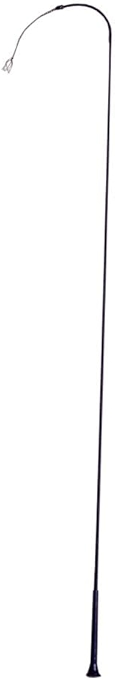 Tough 1 Training Whip - Black