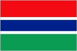 Novelties Direct Gambia/Gambian Flag 5ft x 3ft (100% poly) With Eyelets For Hanging