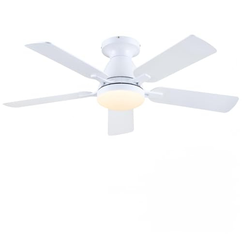 Mpayel Ceiling Fans - Indoor Low Profile Ceiling Fan with Light and Remote Control/APP, Silent Reversible Motor, 5 Blades Modern Ceiling Fans Indoor