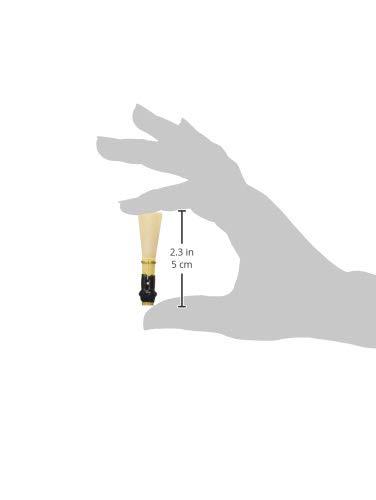 Amazon.co.jp: ファゴットリード : ダイモン : 楽器・音響機器