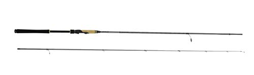 AbuGarcia (アブガルシア) ソルティースタイル ノーザンカスタム SStyle Northern Custom STNS-102ML 釣竿 釣り竿 海アメ 海サクラ ロッド 1枚目