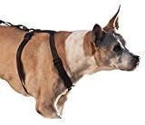 Walkabout Chest Halter