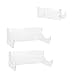 DouWen MO 2Pcs Wall Shelf Skateboard, Skateboard STO Rack, Di and Organize Your Skateboards or Snowboards, Acrylic Glass Wall Mount Holder with Fixed Ss for Home r (2 Pack Clear)