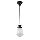Elk 69039-1 Schoolhouse 1-Light Pendant, 12-Inch, Oiled Bronze