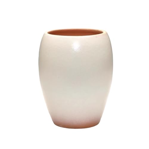 Macetas pequeñas para Plantas Maceta de cerámica Maceta de cerámica para suculentas de Arena Morada Macetas para Plantas de Interior y Exterior Simples y Transpirables (Juego Verde
