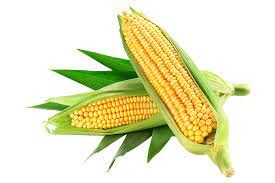 Neotea 100% Pure Corn Starch Powder (1 Kg) #TOP7