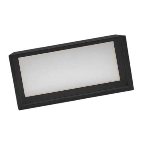 UBJQWQXM Vh[{bNXtHgt[ؐH|iEFfBOu[PԂ̂yY