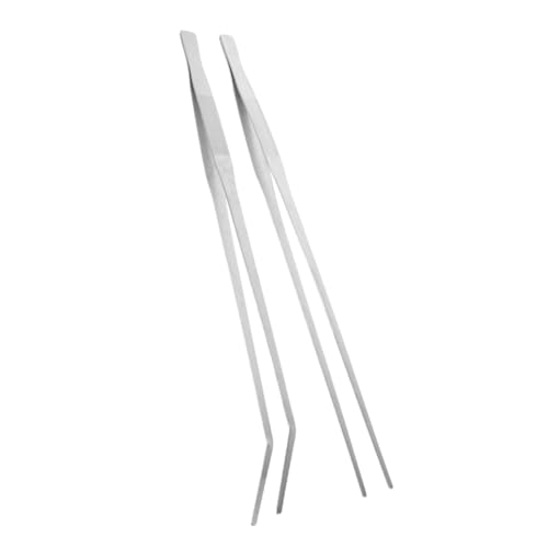 HAMPPLIES 2 p঒މas ^ƋȌ^ ^ϋv eEƐٗpeiXc[