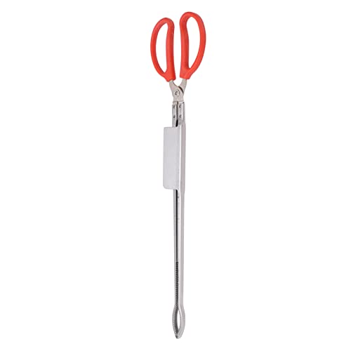 Tnfeeon Seafood Tongs - Stainless Steel Scissor Style 51cm Length for Safe Handling of Live Crab and Fish (Bend Mouth)