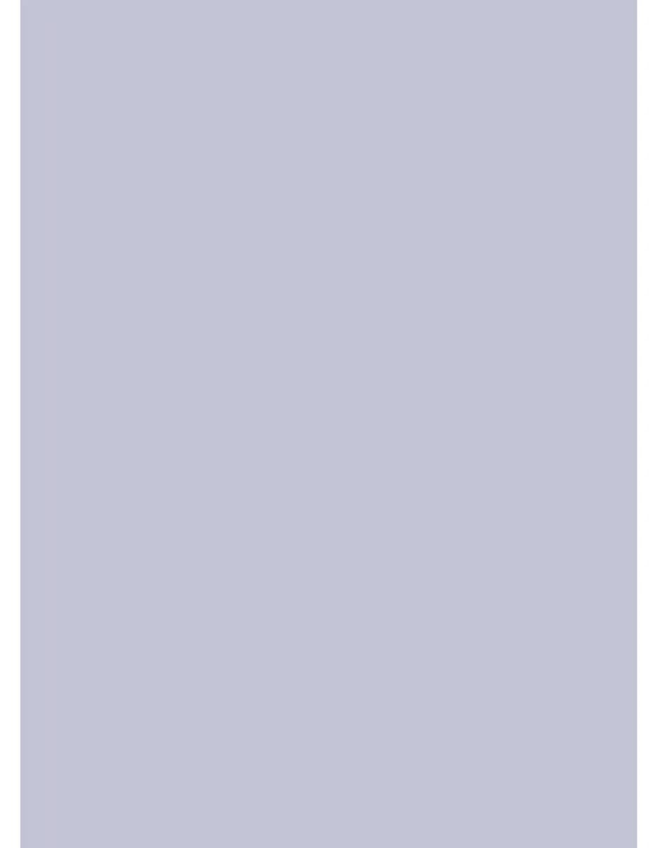 Netuno 25x Lilac cardstock A4 210 x 297 mm 8.3 x 11.7 in 160gsm Aster Color Lilac Colourful Paper eco-Friendly Paper Coloured cardstock for Invitations Business Cards Wedding Flyers Scrapbooking