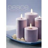 Peace: Music for Relaxation 3 [Audio CD] Botos, Robert and Wike, David