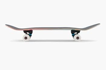 Amazon.com : Universo Brands, Landyachtz - ATV Perfecto Raccoon