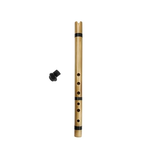 ؐ|J }EXs[Xt̏S҂ɓKGL[|J(2)