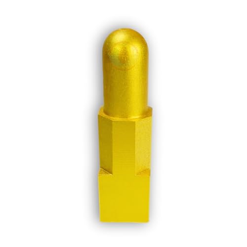 Image of REMEDYWALA Charged Vastu Shriparni Brahm Nabhi Shanku 10IN (Golden)